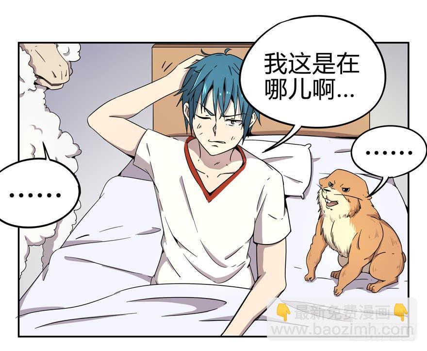《YOYO的奇葩动物帝国》跌落在深渊里 第43页