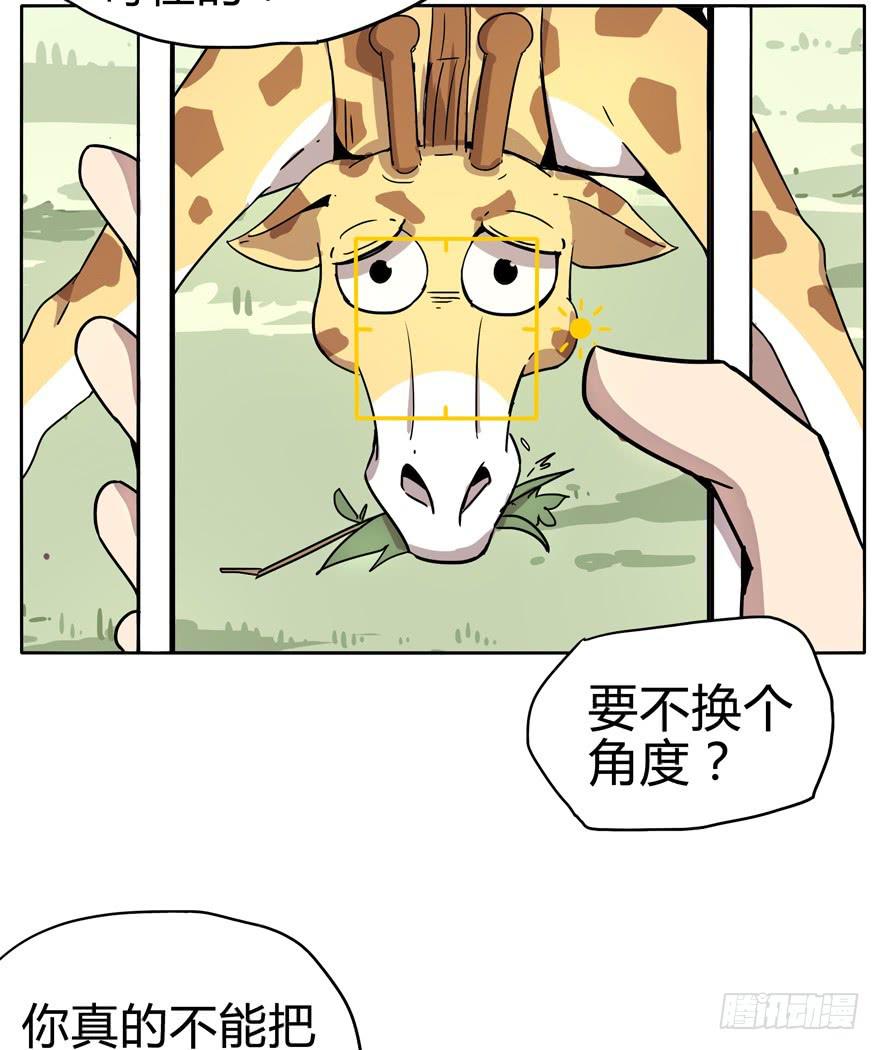 《YOYO的奇葩动物帝国》自拍是当代女性的必备技能 第16页