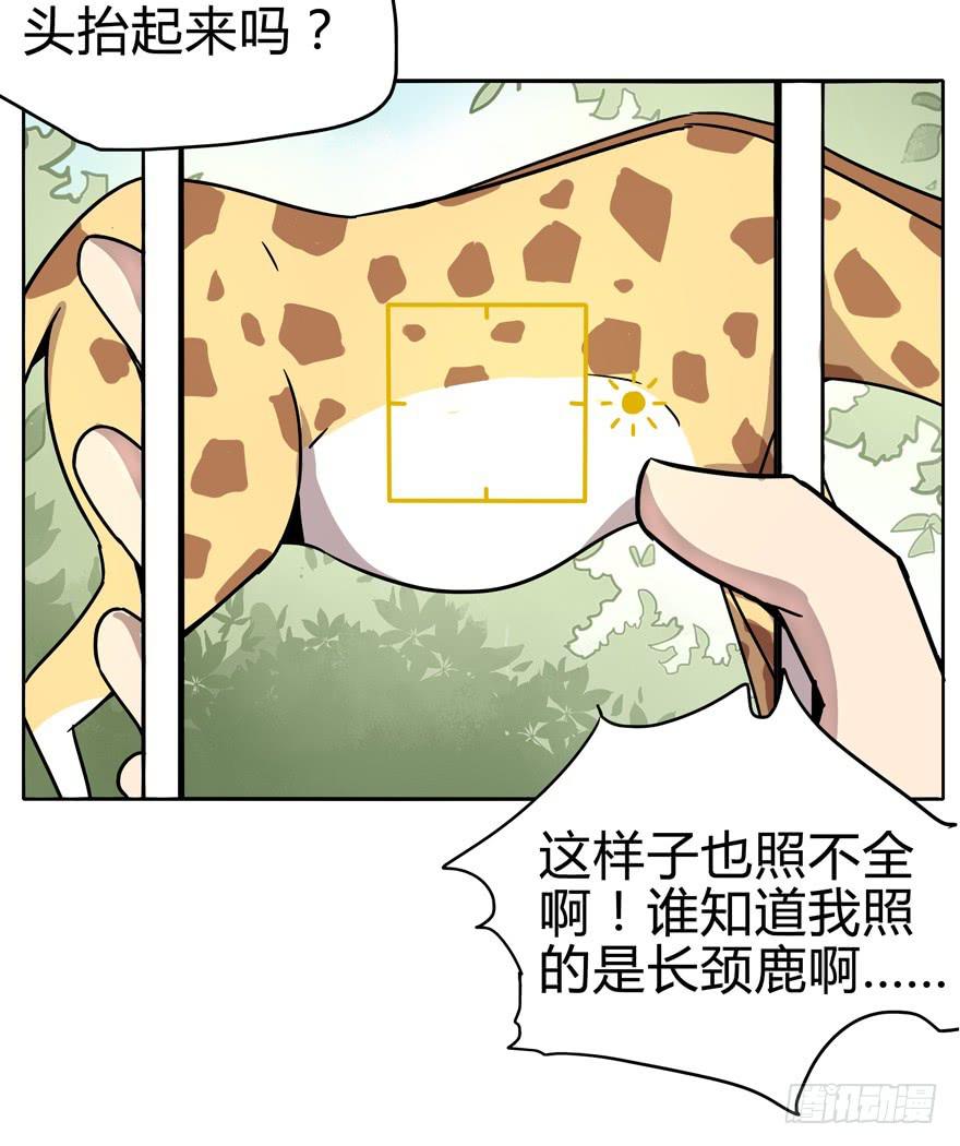 《YOYO的奇葩动物帝国》自拍是当代女性的必备技能 第17页