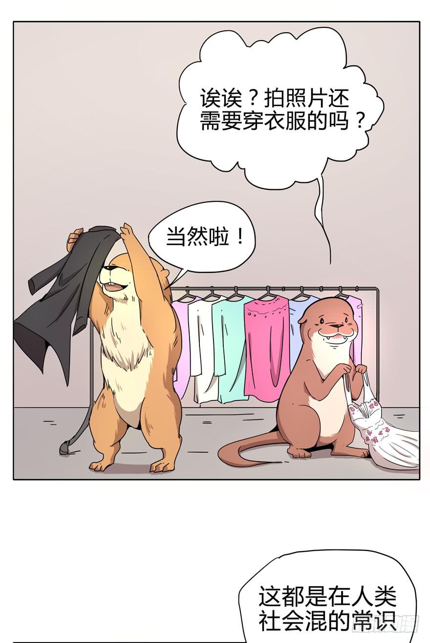 《YOYO的奇葩动物帝国》自拍是当代女性的必备技能 第34页