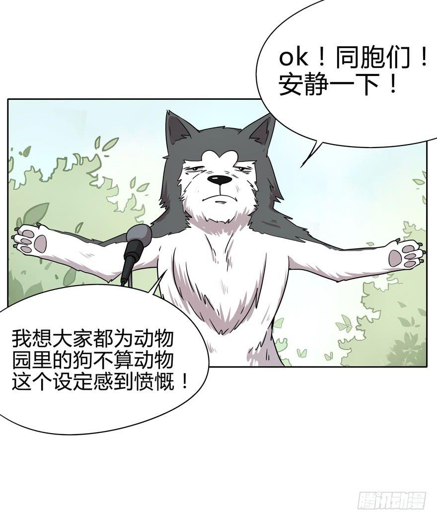 《YOYO的奇葩动物帝国》收集卡片是男人小时候的浪漫 第36页