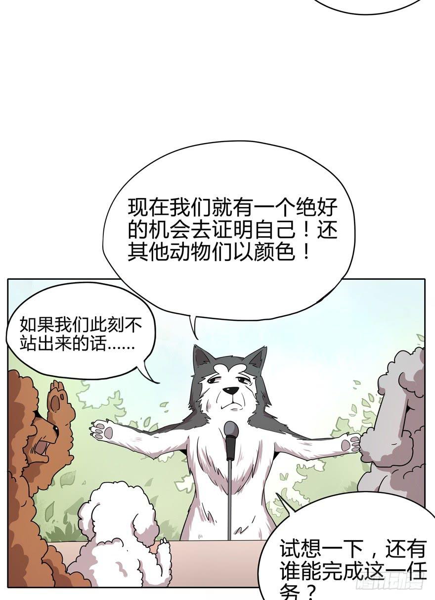 《YOYO的奇葩动物帝国》收集卡片是男人小时候的浪漫 第38页