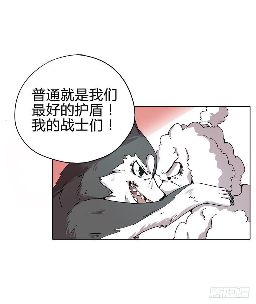 《YOYO的奇葩动物帝国》收集卡片是男人小时候的浪漫 第40页