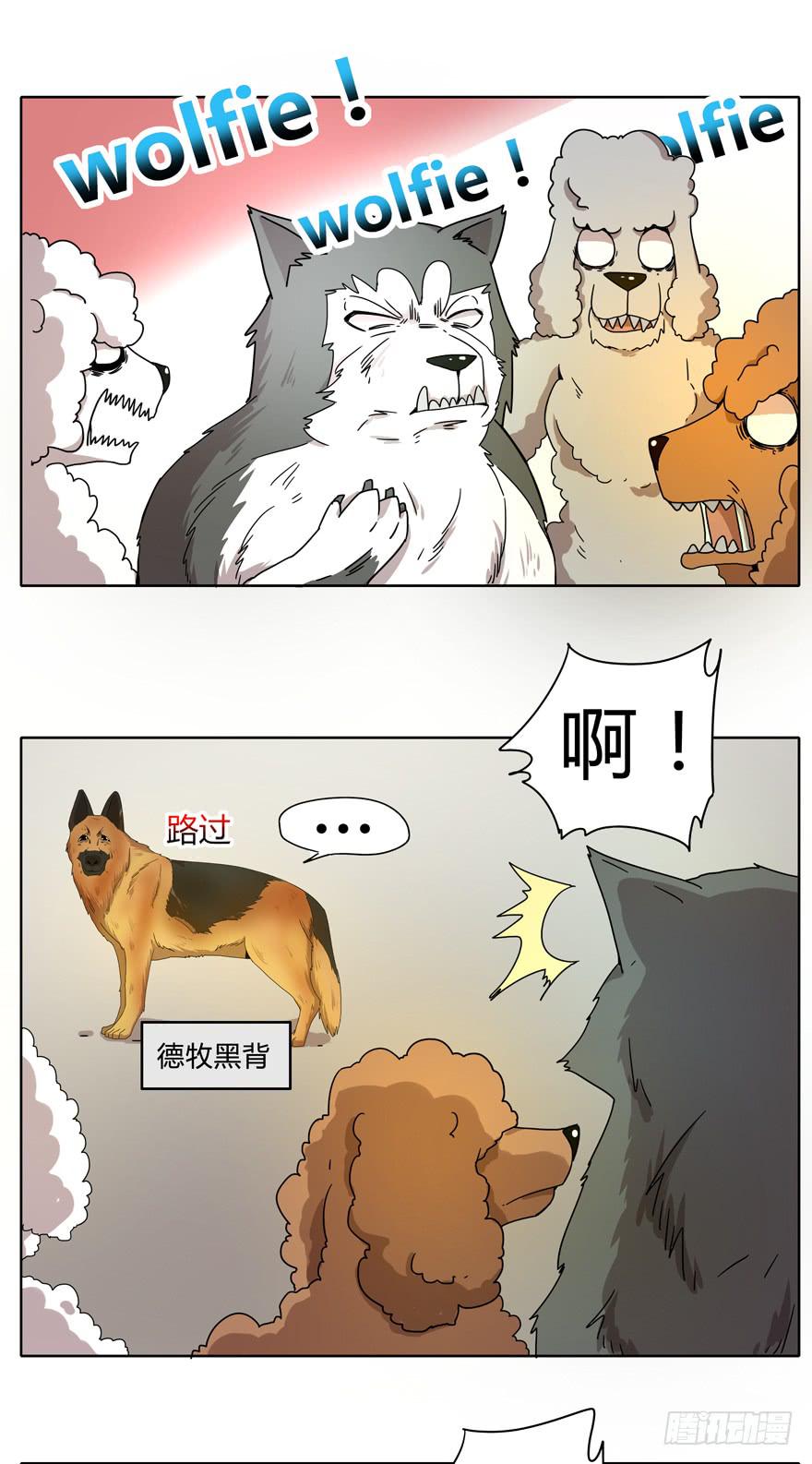 《YOYO的奇葩动物帝国》收集卡片是男人小时候的浪漫 第45页