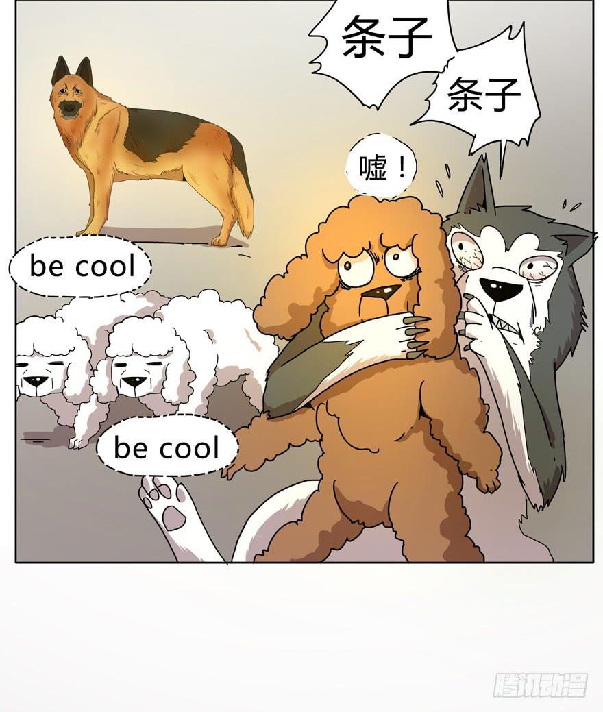 《YOYO的奇葩动物帝国》收集卡片是男人小时候的浪漫 第46页