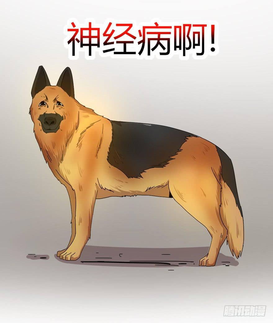 《YOYO的奇葩动物帝国》收集卡片是男人小时候的浪漫 第47页