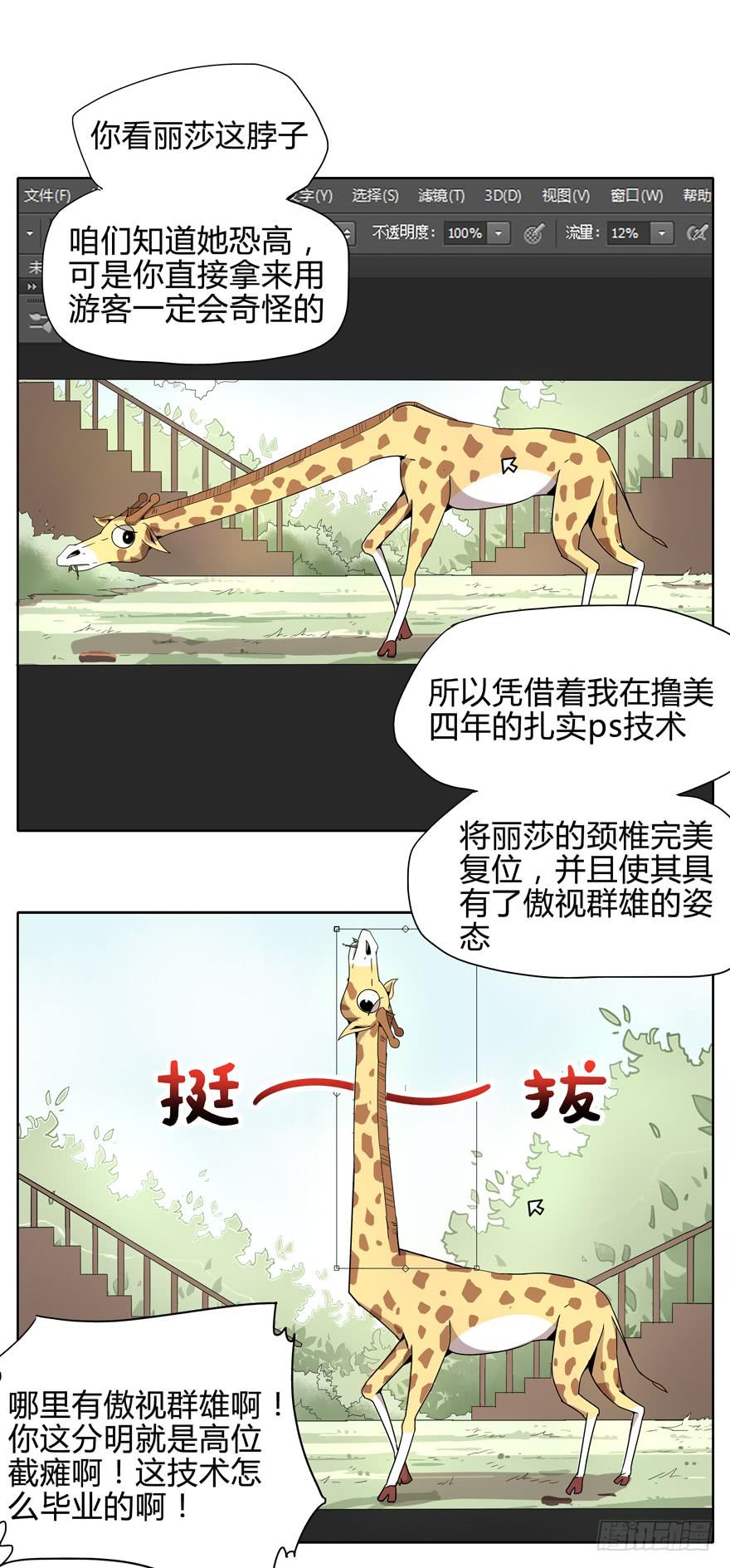 《YOYO的奇葩动物帝国》收集卡片是男人小时候的浪漫 第7页