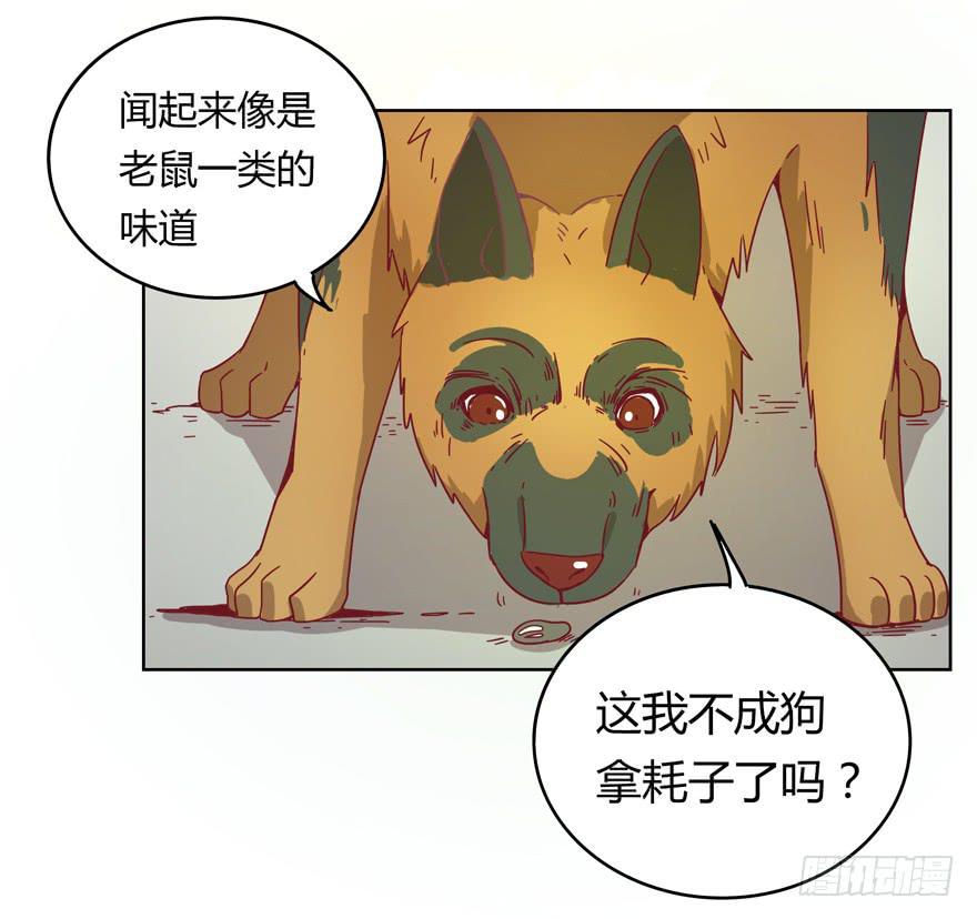 《YOYO的奇葩动物帝国》鼠疫 第25页