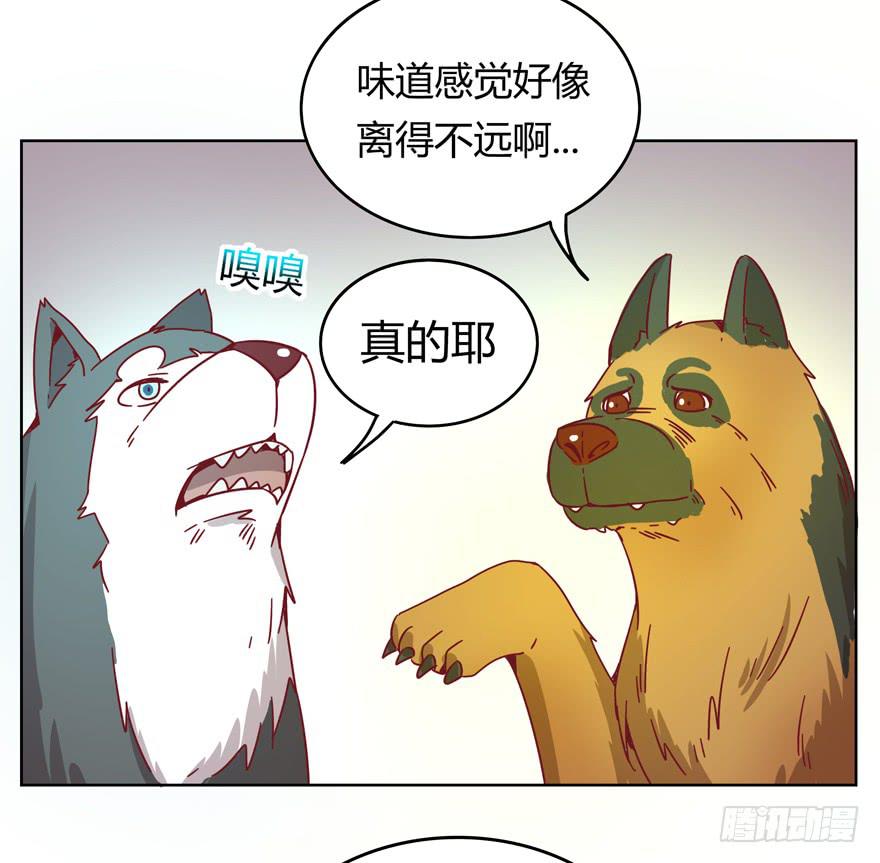 《YOYO的奇葩动物帝国》鼠疫 第27页