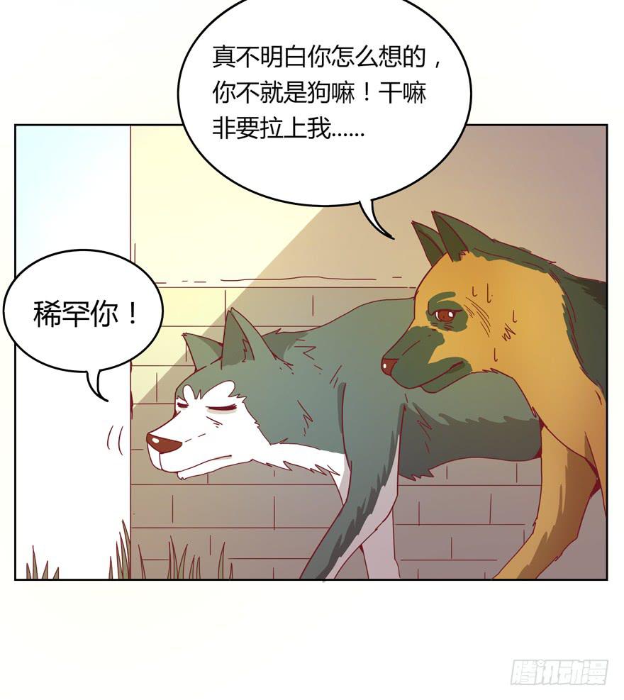 《YOYO的奇葩动物帝国》鼠疫 第28页