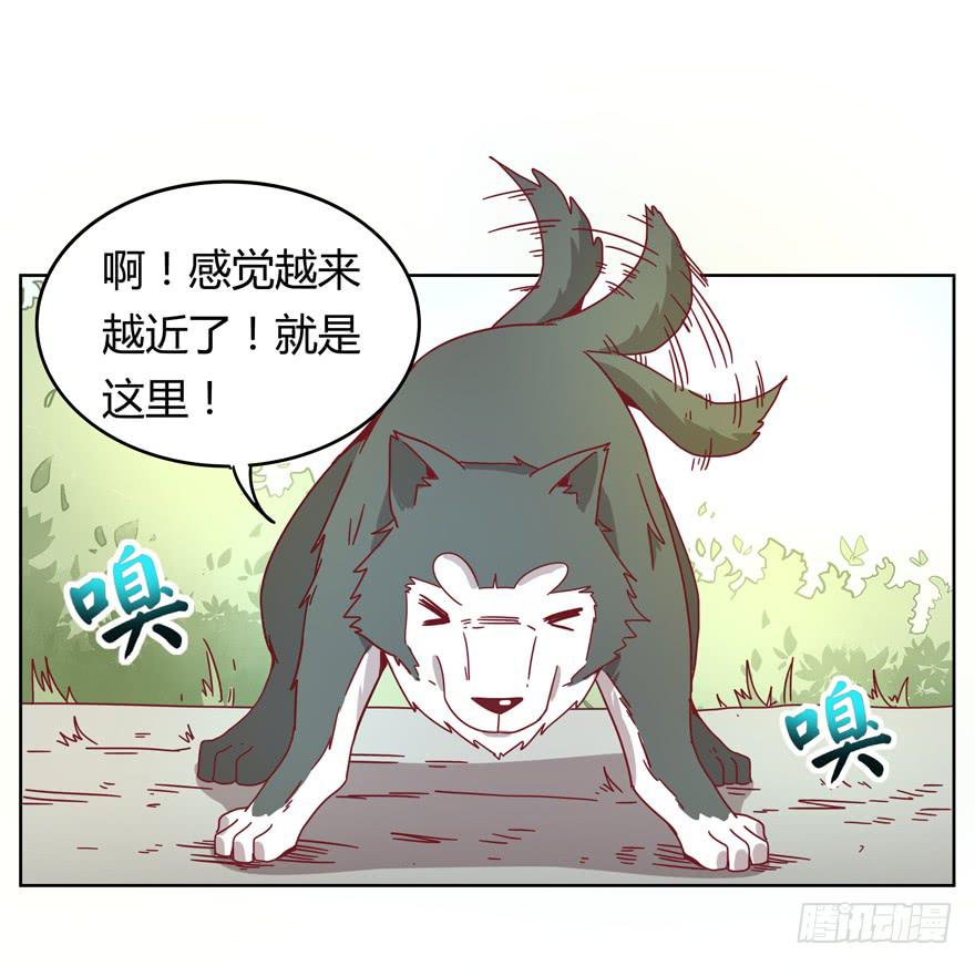 《YOYO的奇葩动物帝国》鼠疫 第29页