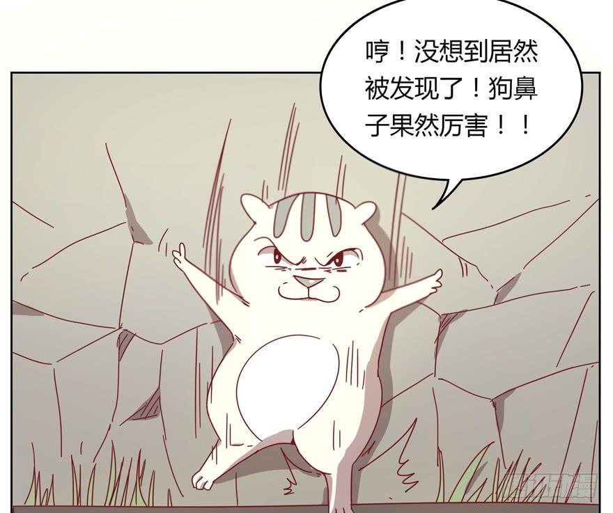 《YOYO的奇葩动物帝国》鼠疫 第37页