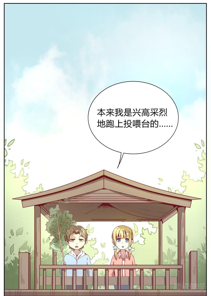 《YOYO的奇葩动物帝国》别低头 王冠会掉 第3页