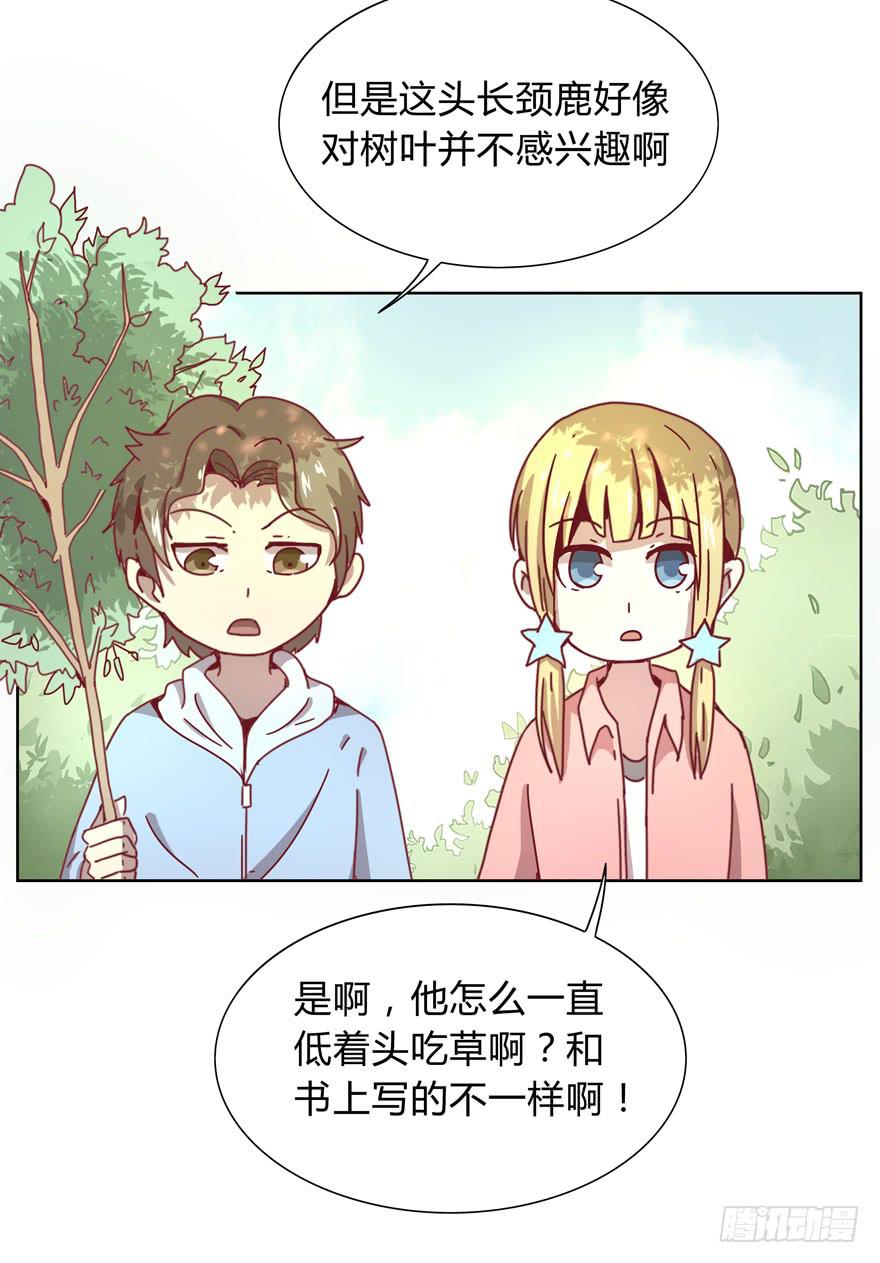 《YOYO的奇葩动物帝国》别低头 王冠会掉 第5页