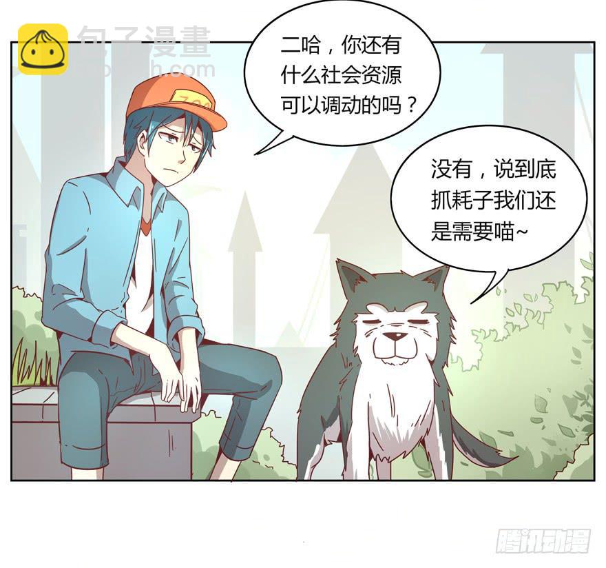 《YOYO的奇葩动物帝国》Batmao 第5页