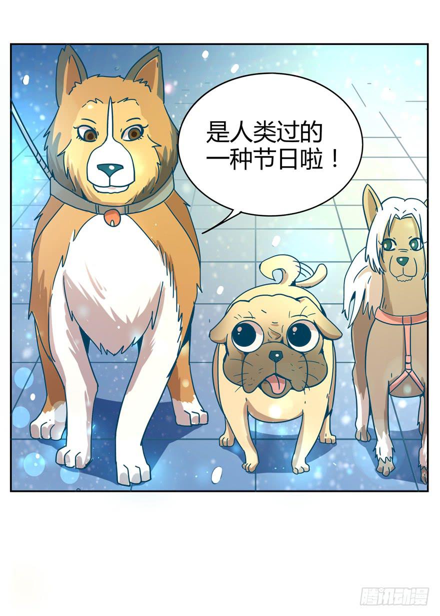 《YOYO的奇葩动物帝国》新年快乐！ 第31页