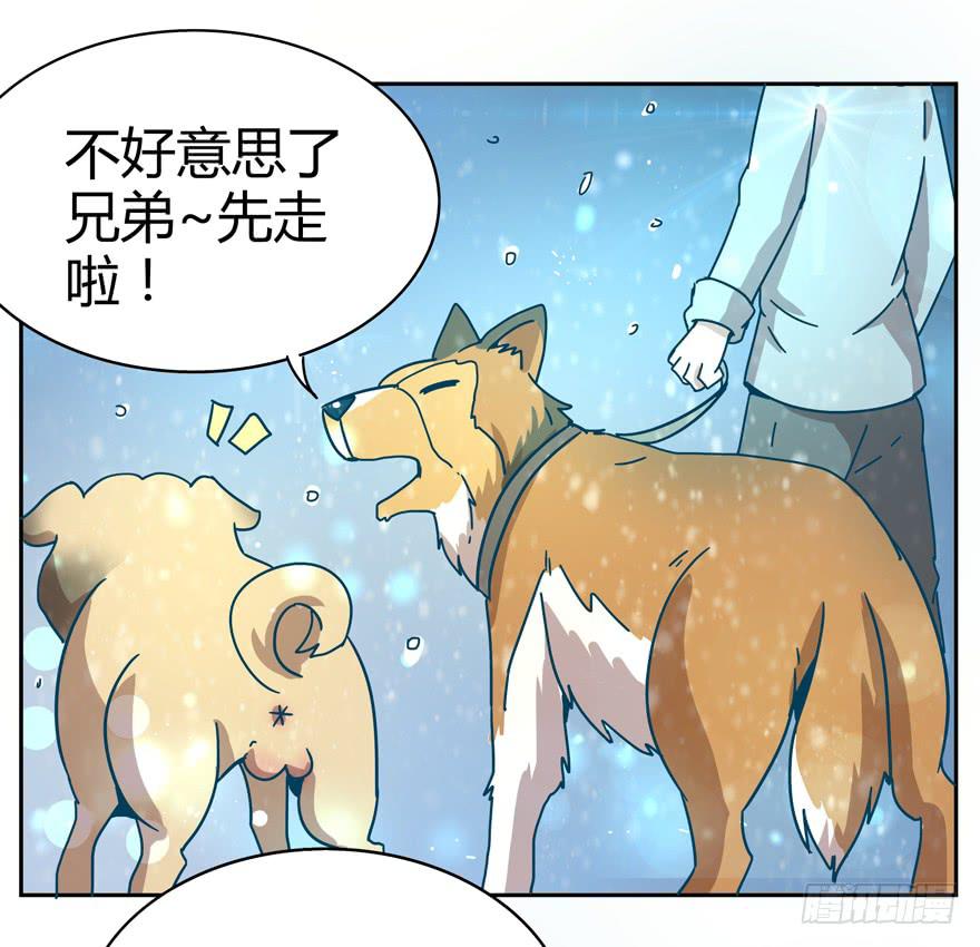 《YOYO的奇葩动物帝国》新年快乐！ 第33页