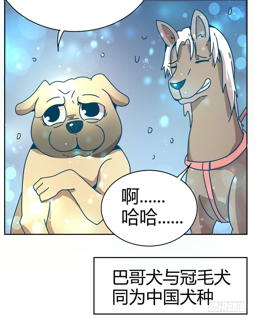 《YOYO的奇葩动物帝国》新年快乐！ 第36页