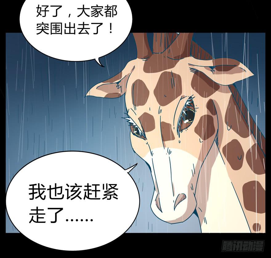 《YOYO的奇葩动物帝国》别抬头 会有抬头纹 第13页