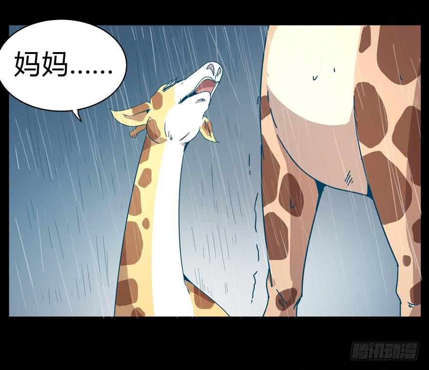 《YOYO的奇葩动物帝国》别抬头 会有抬头纹 第15页