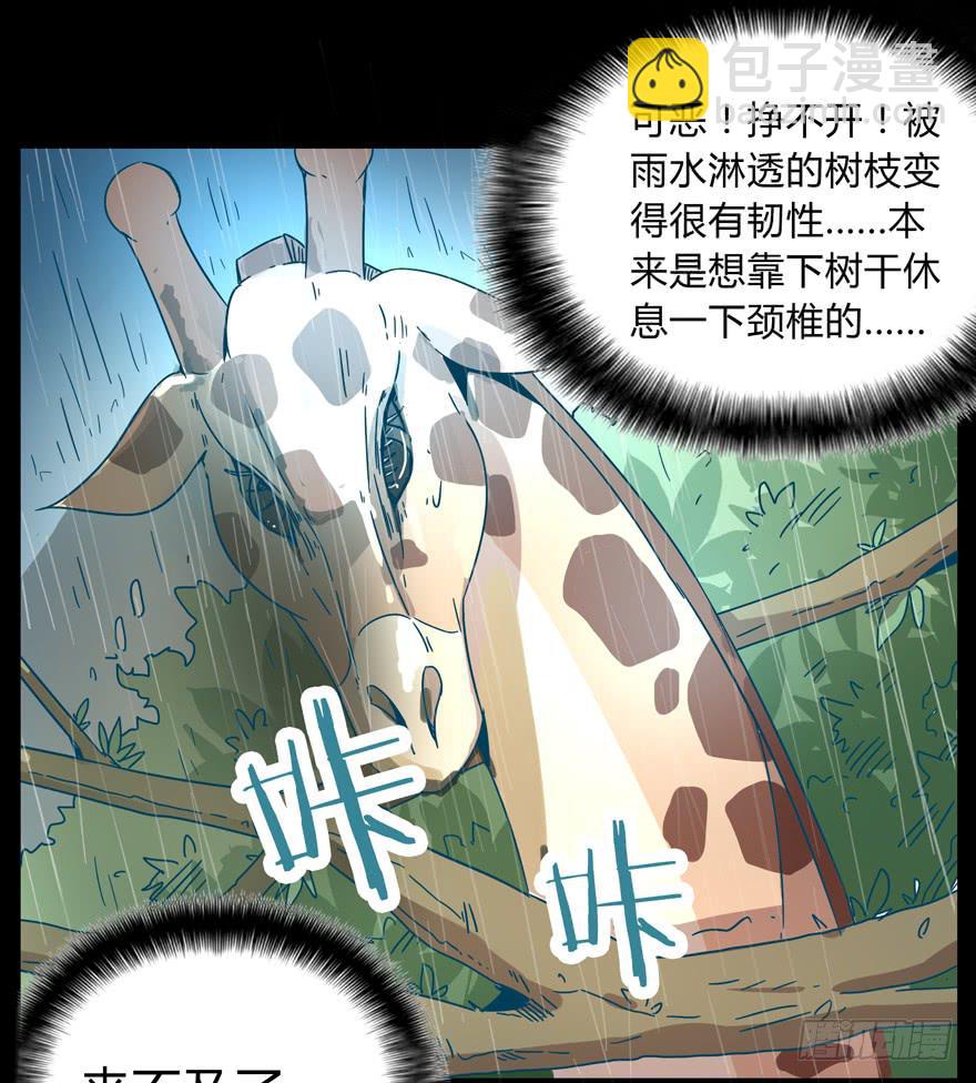 《YOYO的奇葩动物帝国》别抬头 会有抬头纹 第16页