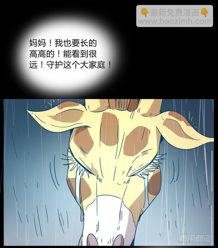 《YOYO的奇葩动物帝国》别抬头 会有抬头纹 第35页