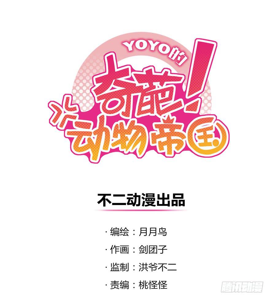 《YOYO的奇葩动物帝国》你吃过牛肝菌咩？ 第1页