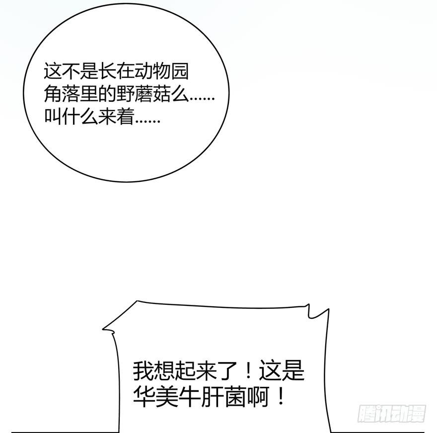 《YOYO的奇葩动物帝国》你吃过牛肝菌咩？ 第32页