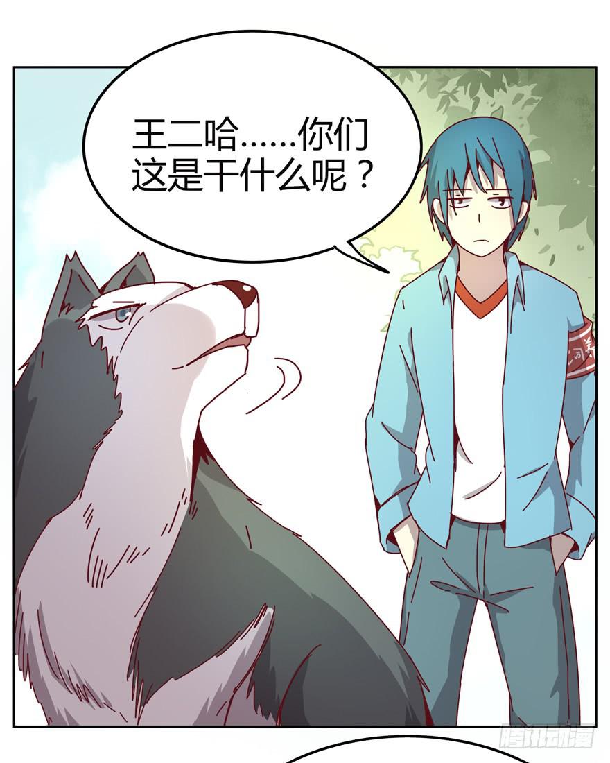 《YOYO的奇葩动物帝国》管天管地还管拉屎放屁？ 第32页