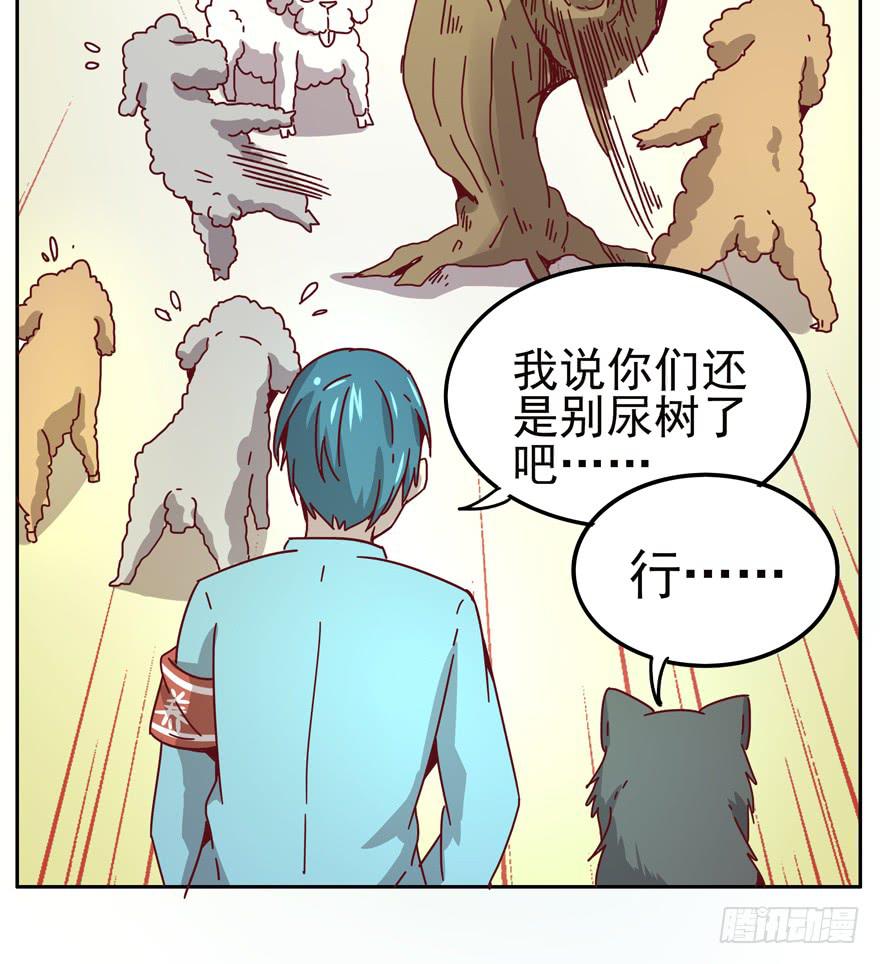 《YOYO的奇葩动物帝国》管天管地还管拉屎放屁？ 第39页