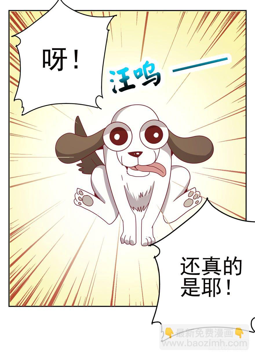 《YOYO的奇葩动物帝国》记忆往往容易被造假 第13页