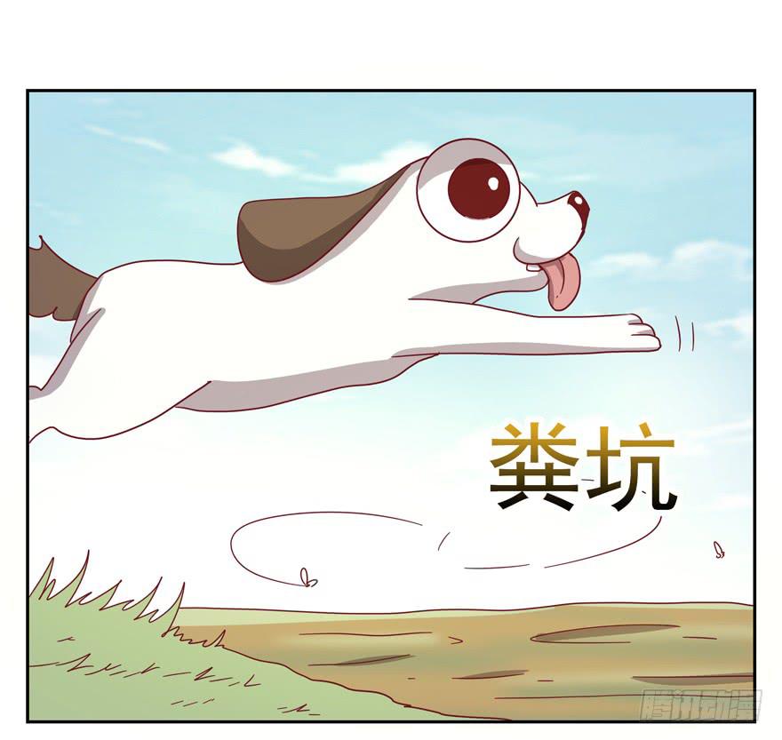 《YOYO的奇葩动物帝国》记忆往往容易被造假 第15页