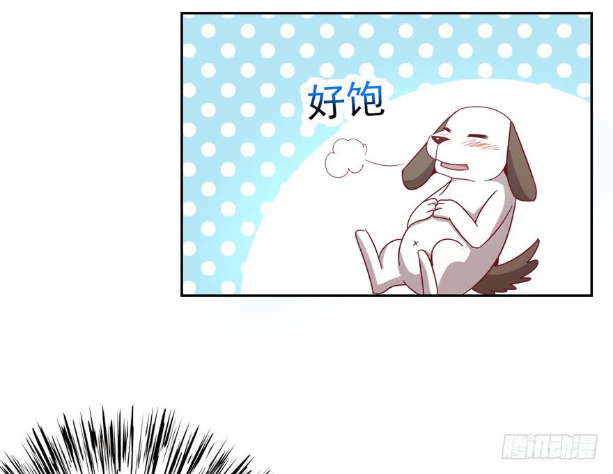 《YOYO的奇葩动物帝国》记忆往往容易被造假 第36页