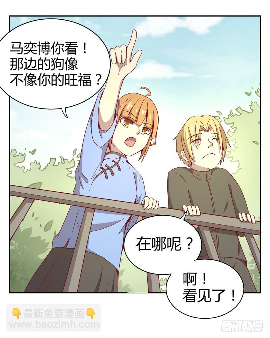 《YOYO的奇葩动物帝国》记忆往往容易被造假 第9页