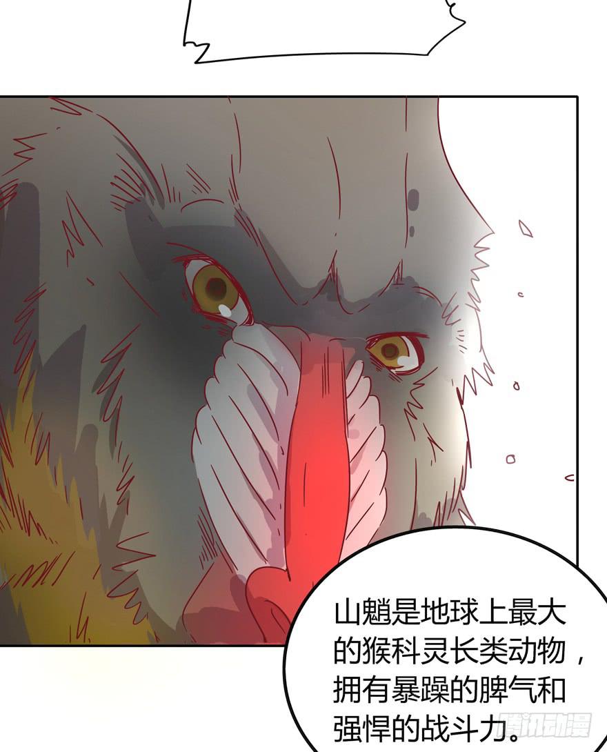 《YOYO的奇葩动物帝国》青涩的爱情总发生在老一辈身上 第42页