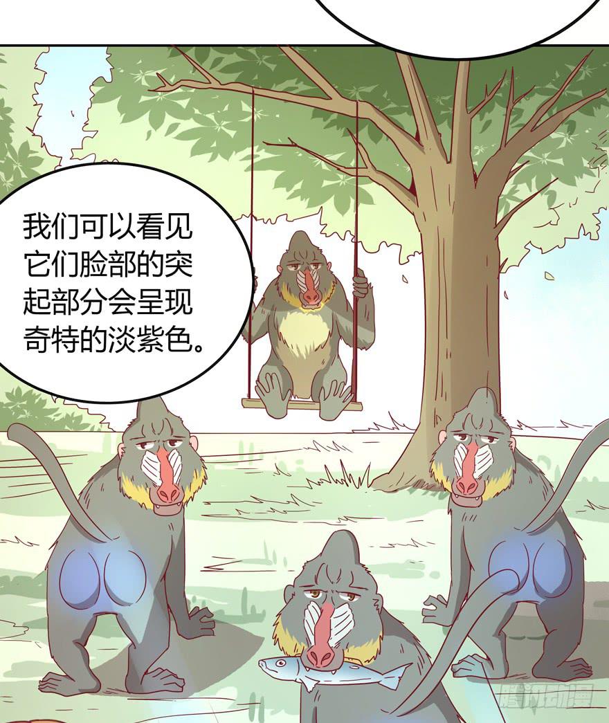 《YOYO的奇葩动物帝国》青涩的爱情总发生在老一辈身上 第43页