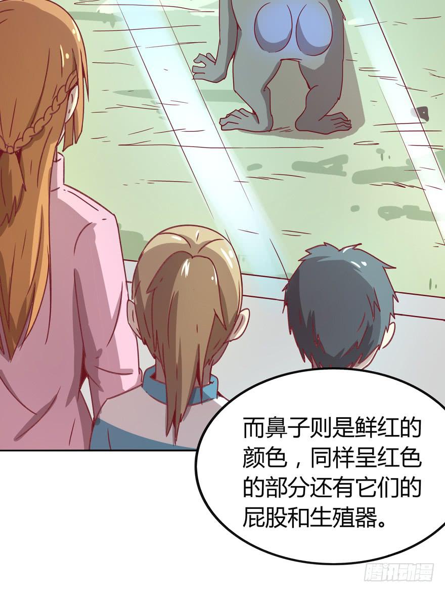 《YOYO的奇葩动物帝国》青涩的爱情总发生在老一辈身上 第44页