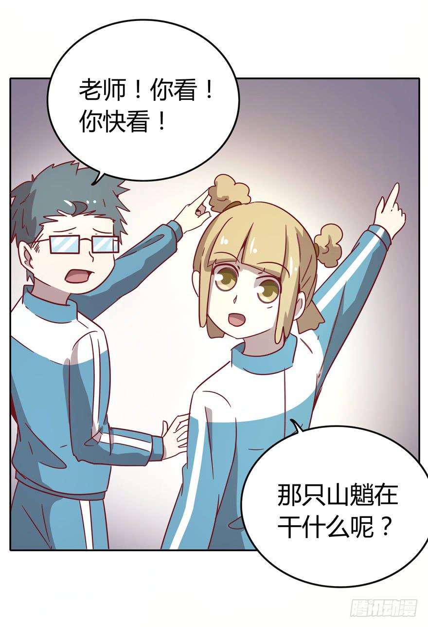 《YOYO的奇葩动物帝国》青涩的爱情总发生在老一辈身上 第49页