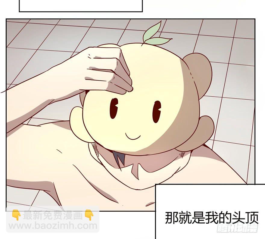 《YOYO的奇葩动物帝国》世界的尽头定然寸草不生 第15页