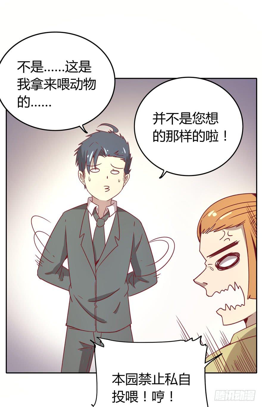 《YOYO的奇葩动物帝国》感人的爱情也发生在老一辈身上 第11页