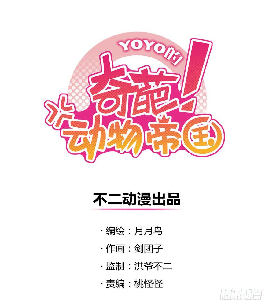 《YOYO的奇葩动物帝国》感人的爱情也发生在老一辈身上 第1页