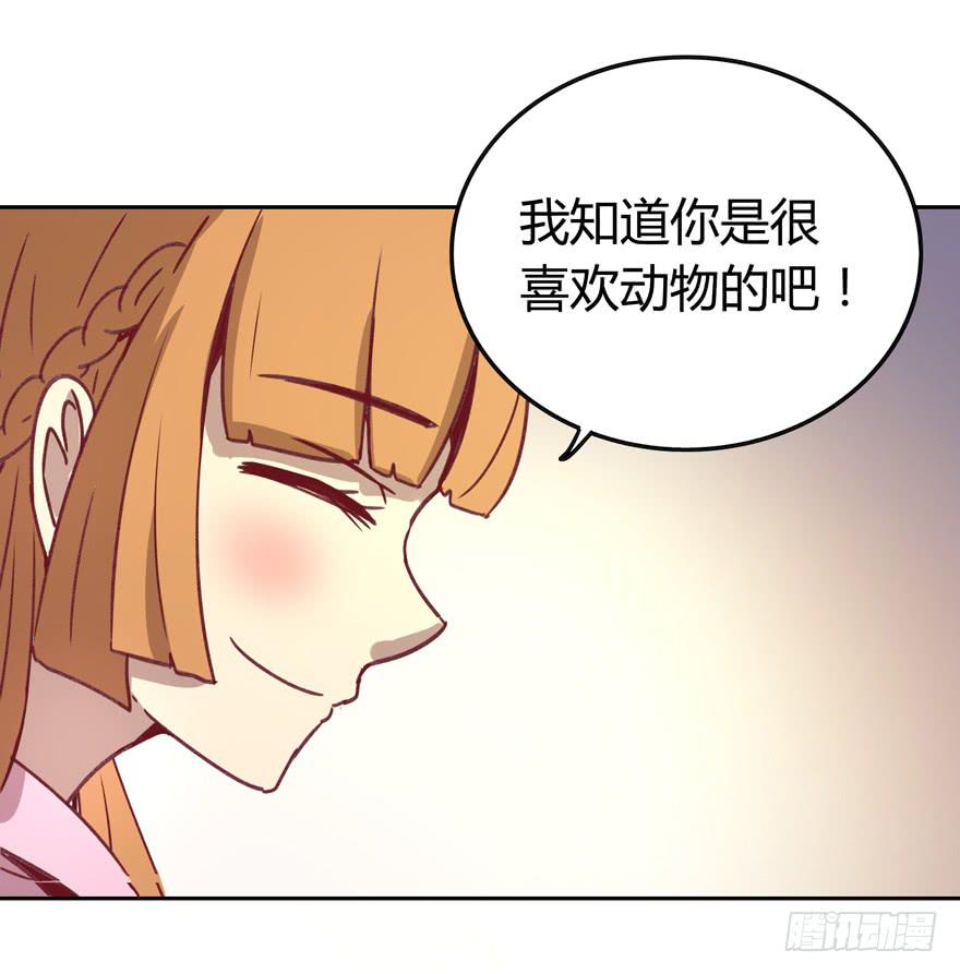 《YOYO的奇葩动物帝国》感人的爱情也发生在老一辈身上 第22页