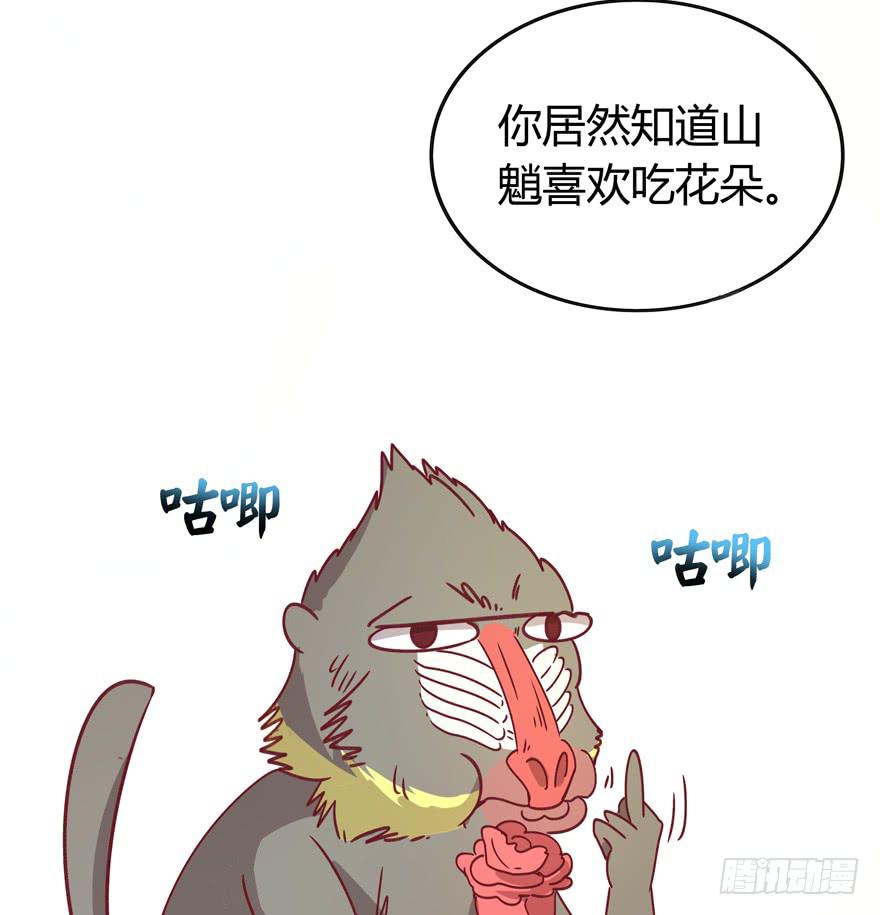 《YOYO的奇葩动物帝国》感人的爱情也发生在老一辈身上 第24页