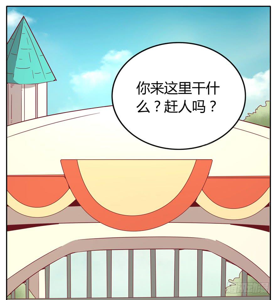 《YOYO的奇葩动物帝国》感人的爱情也发生在老一辈身上 第3页
