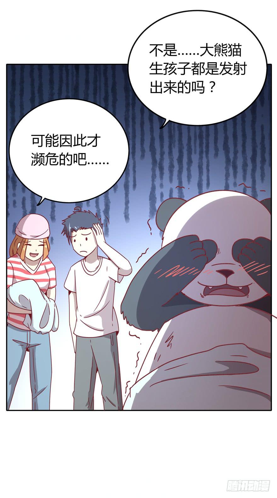 《YOYO的奇葩动物帝国》感人的爱情也发生在老一辈身上 第42页