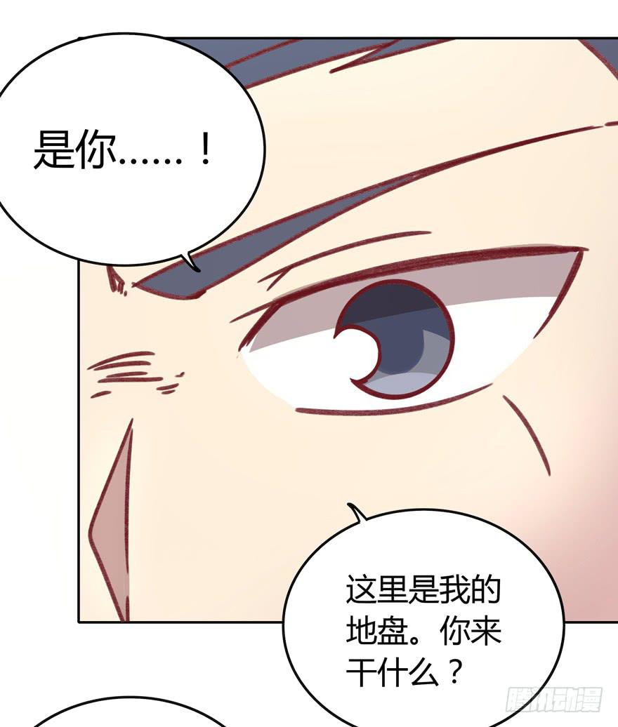 《YOYO的奇葩动物帝国》感人的爱情也发生在老一辈身上 第45页