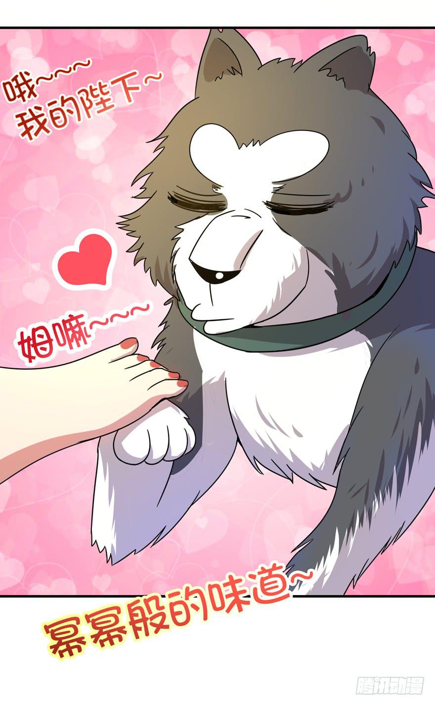 《YOYO的奇葩动物帝国》糖果与鞭子（上） 第23页