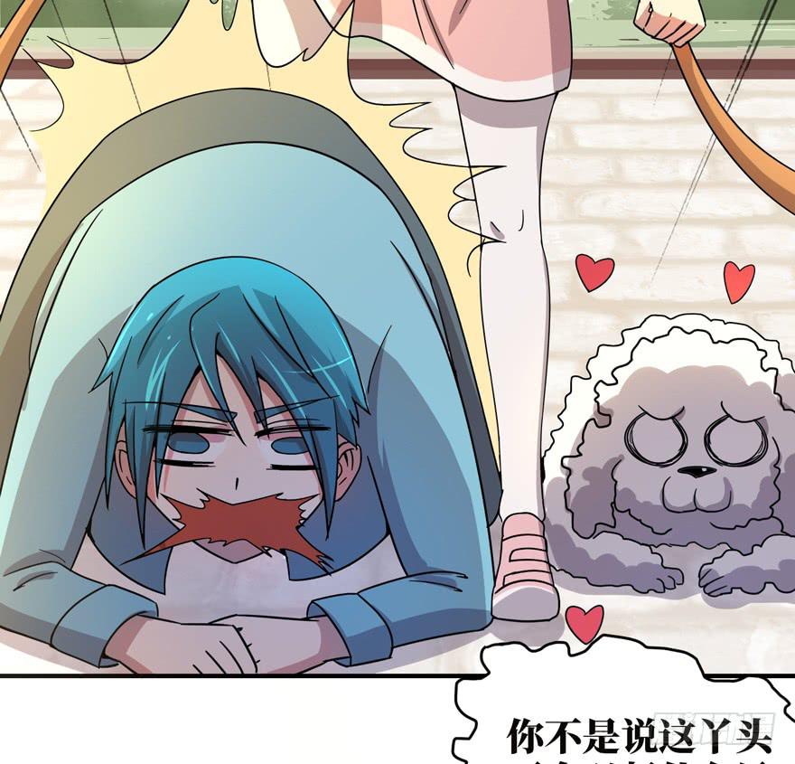 《YOYO的奇葩动物帝国》糖果与鞭子（上） 第27页