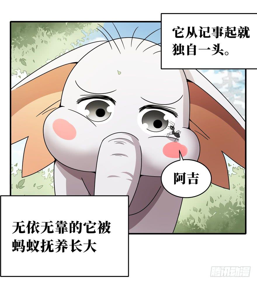 《YOYO的奇葩动物帝国》欢乐马戏人 第28页