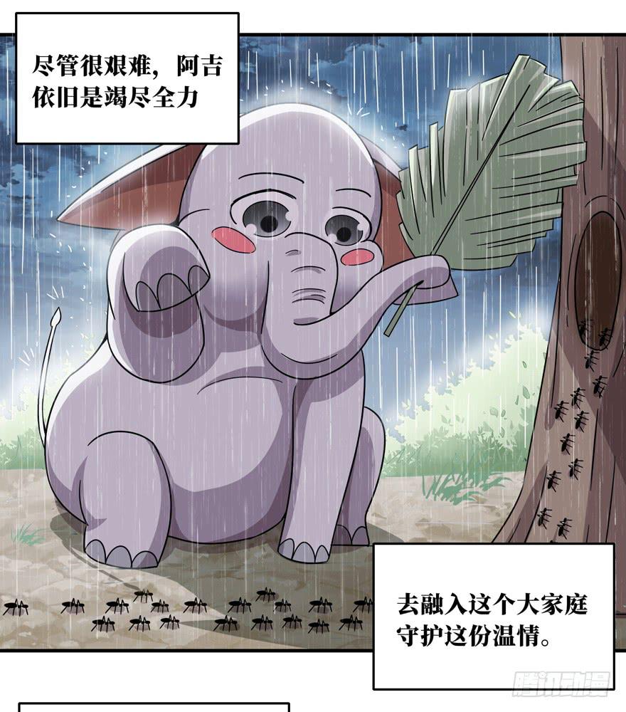 《YOYO的奇葩动物帝国》欢乐马戏人 第34页